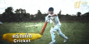 คริกเก็ต